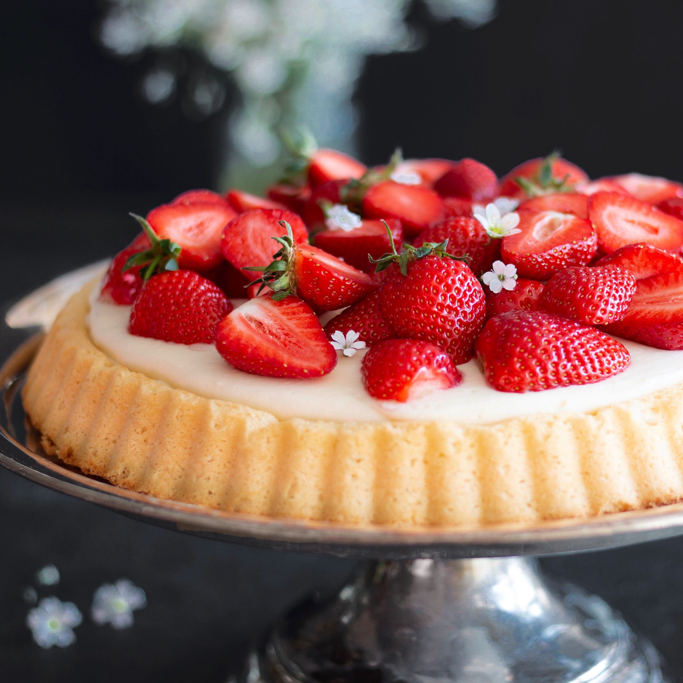 Städter - Selection Obstbodenform