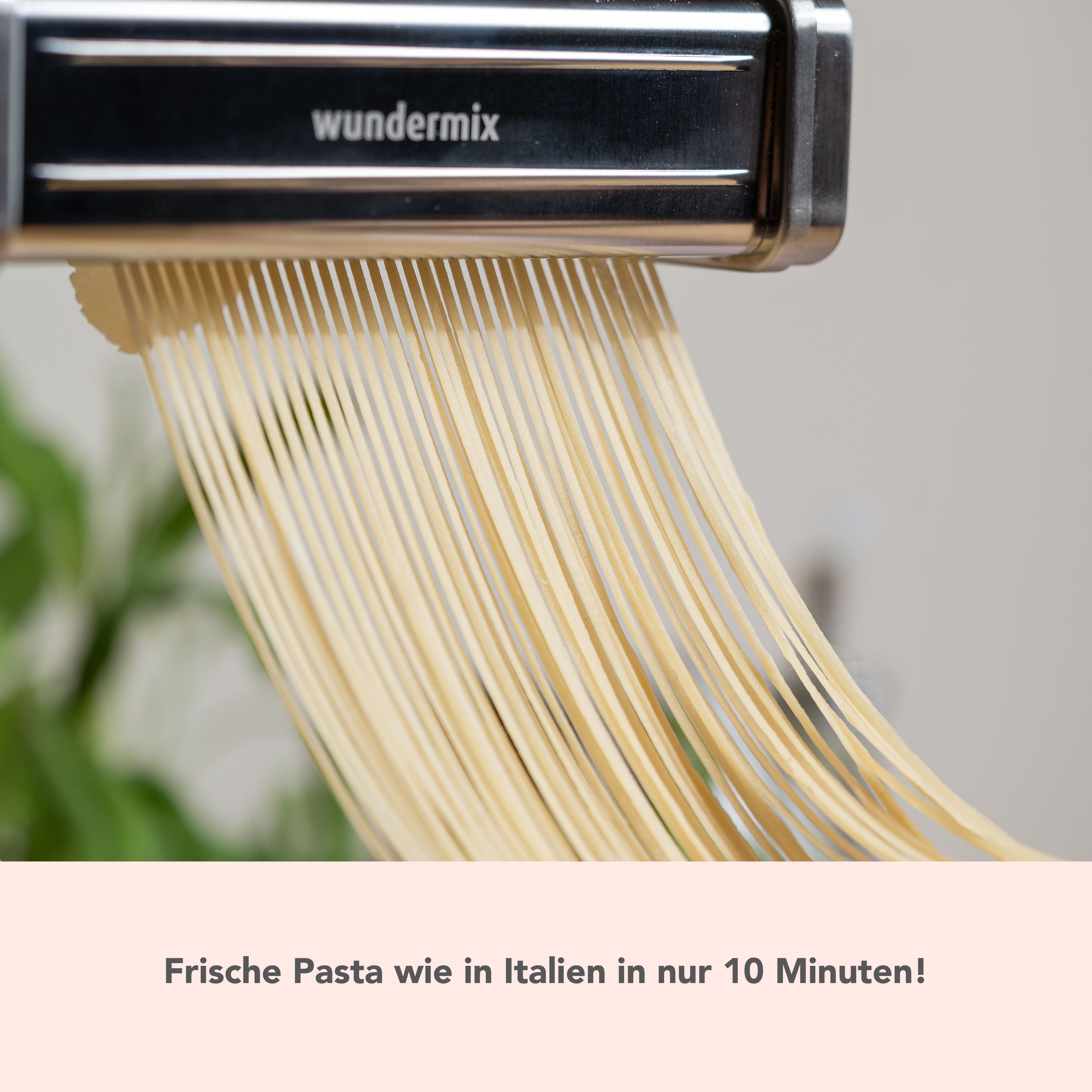 WunderCentix® | Starter-Set "Pasta" für TM6, TM5